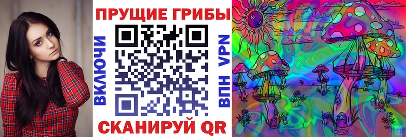 Галлюциногенные грибы Cubensis Десногорск